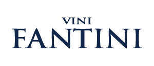 Vini Fantini